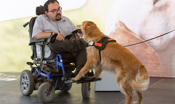guideDog